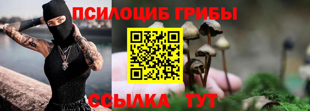 Галлюциногенные грибы мухоморы Калач-на-Дону